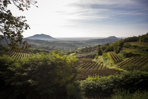 Cultural routes-colli-euganei