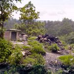Permalink to: Seminario, 23 gennaio 2019 "Rethinking Rubbish in Mesoamerican Archaeology" (Sala delle Edicole, Arco Vallaresso)