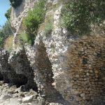 Permalink to: Seminario, 22 marzo 2023 "Infrastrutture, gestione delle acque, insediamenti, paesaggi agrari e funerari nell’Ager Rusellanus nella longue durée: verso un’archeologia stratigrafica dei paesaggi" (Sala Sartori, Palazzo Liviano)